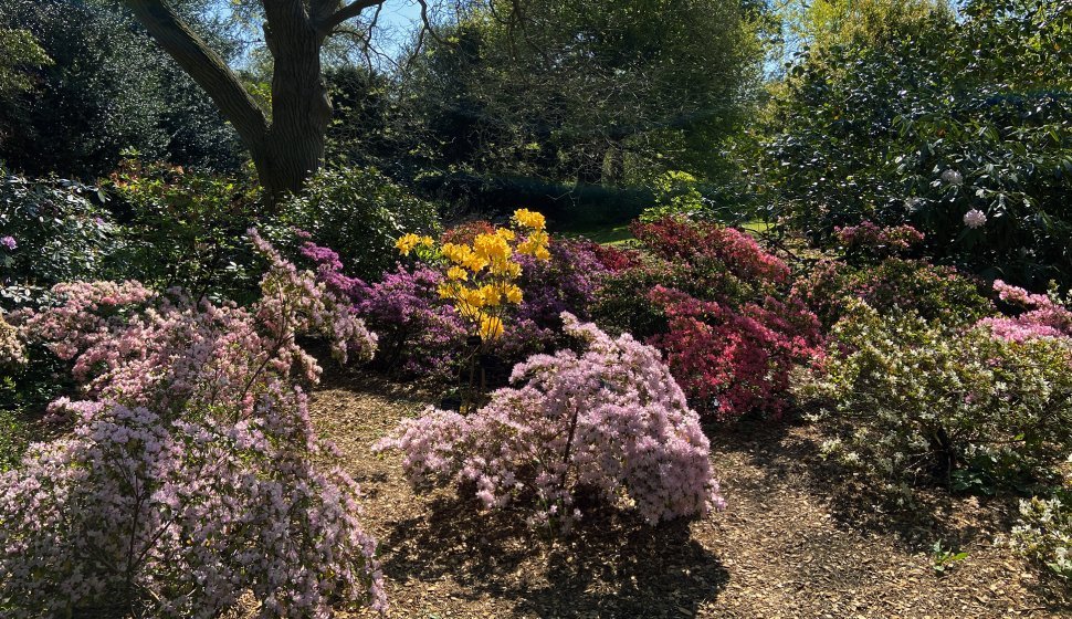London’s Kew Gardens, April