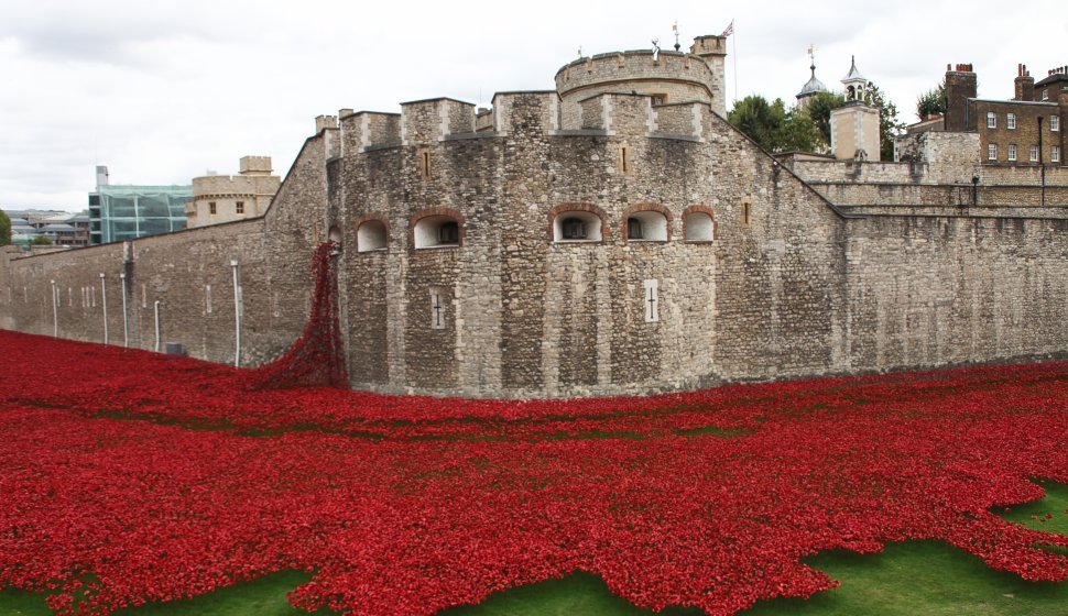 886.246 poppies planted on armistice day to remember the British soldiers who died in the first world war