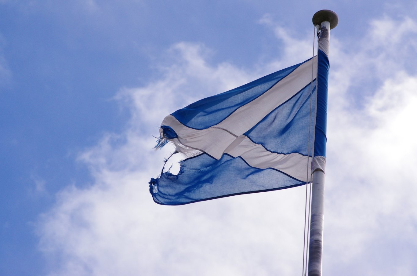 Scotlang flag